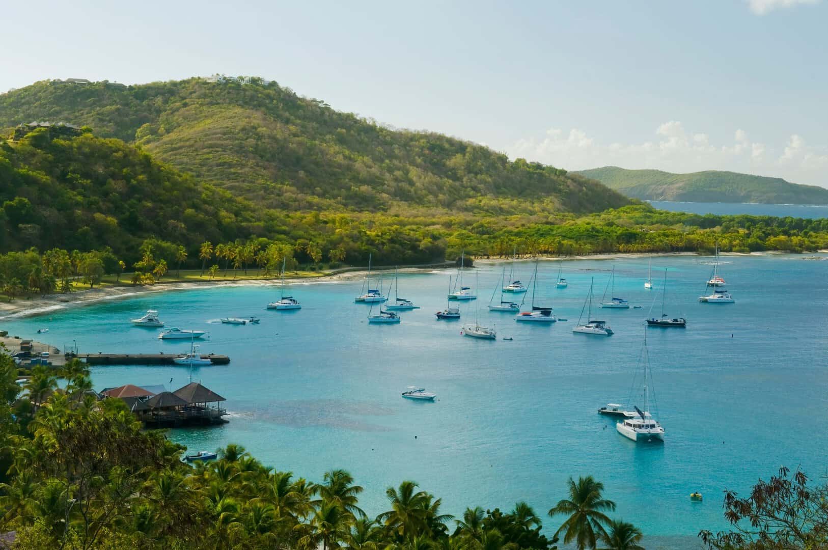 mustique caraibi
