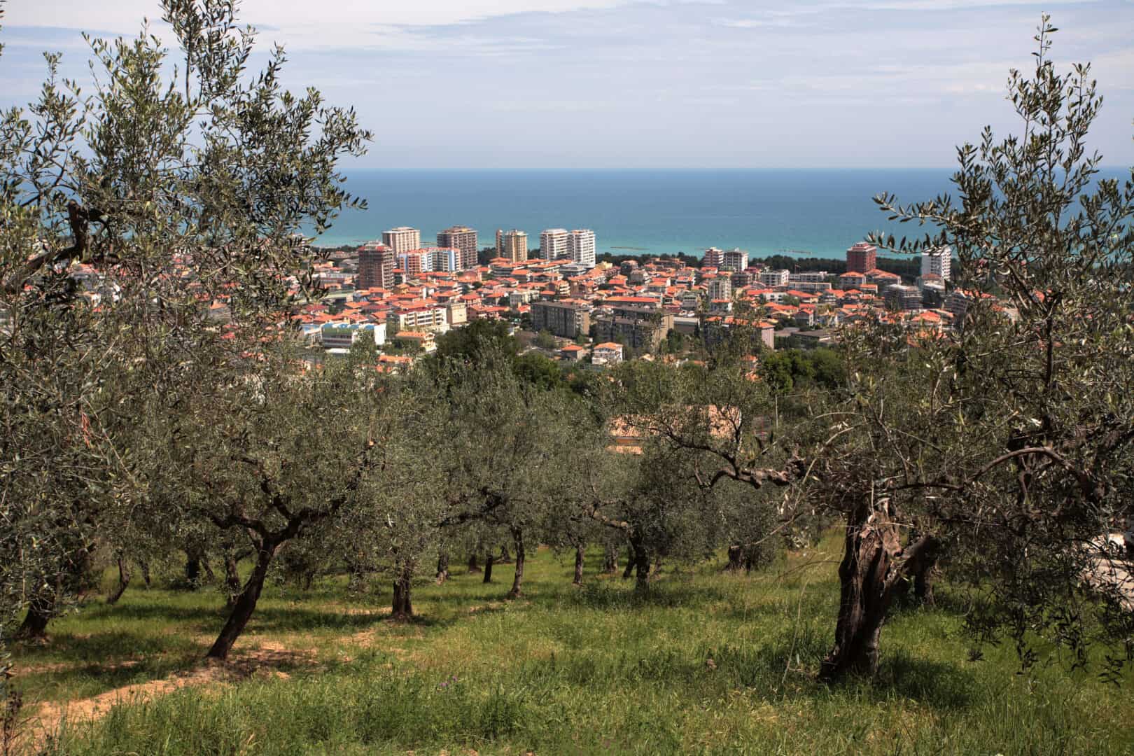 Pescara e dintorni: un fine settimana tra l'azzurro del mare e il verde dell'entroterra
