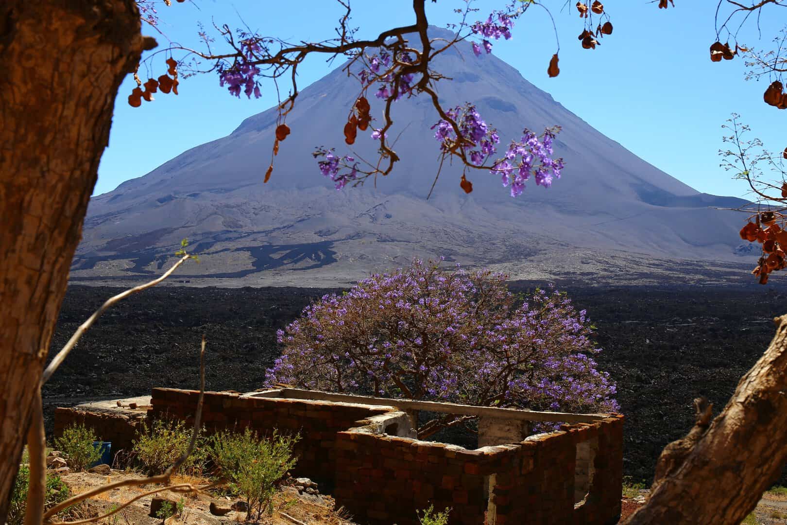 pico de fogo capo verde