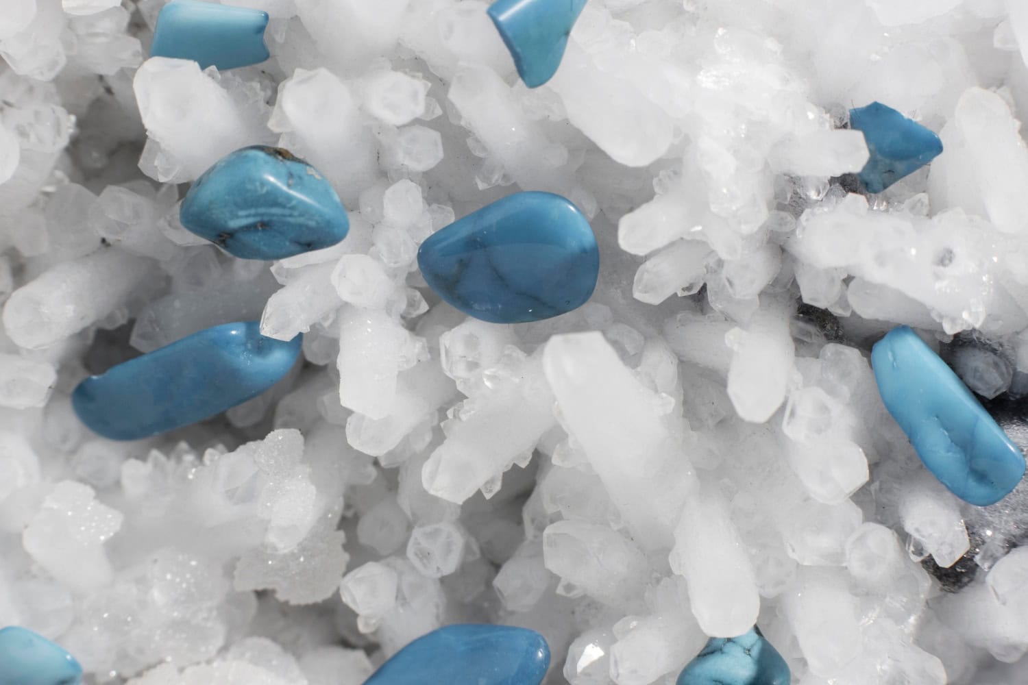 Crisi inquinamento antartico: microplastiche più pericolose del previsto