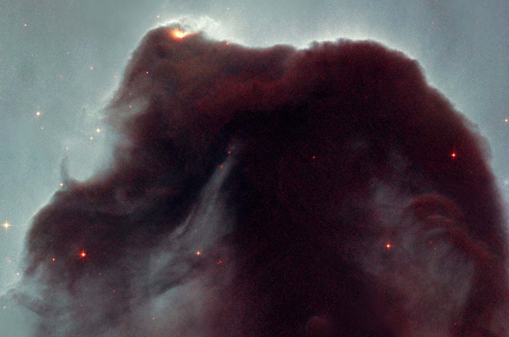 La vita terrestre viene dallo spazio? Nuove scoperte rendono probabile l'ipotesi