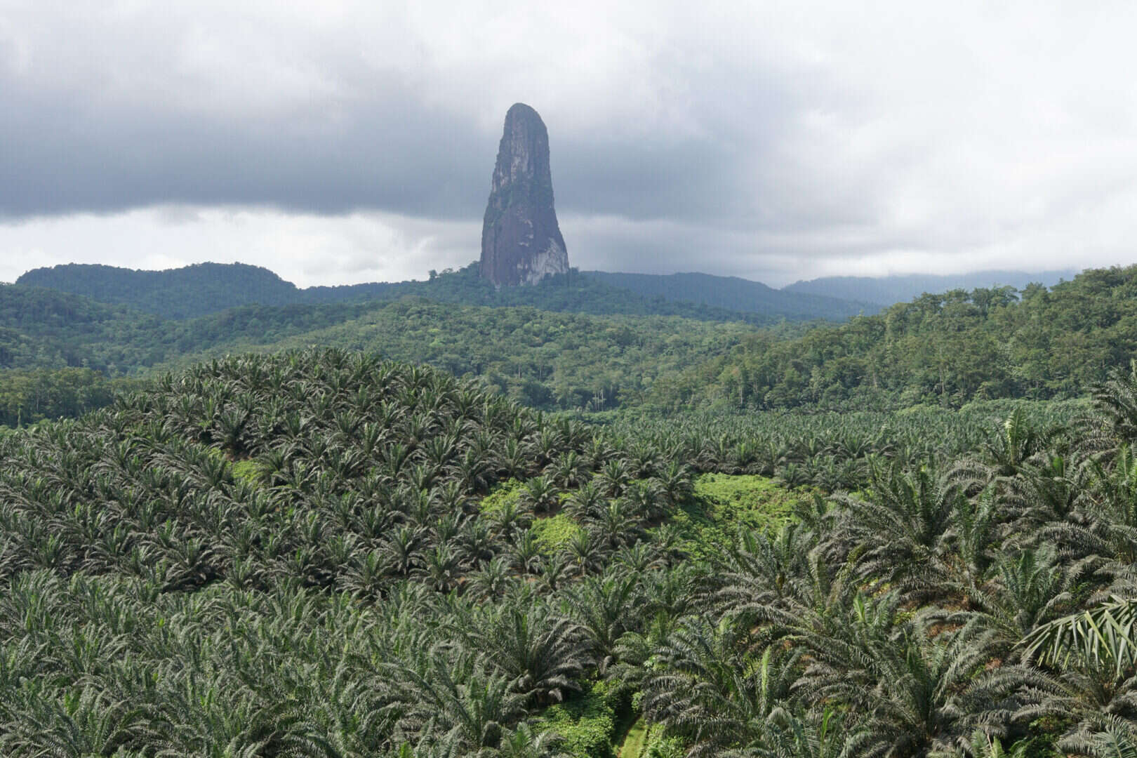 São Tomé: un tesoro verde dell'Africa in mezzo all'oceano