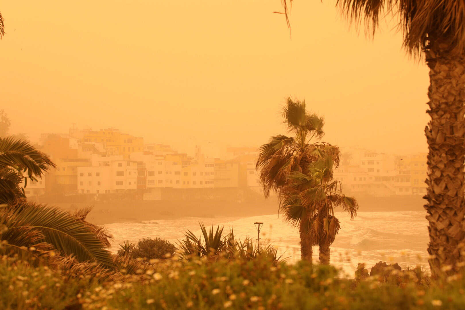 Allerta Meteo: Isole Canarie attaccate da un'ondata di calore senza precedenti