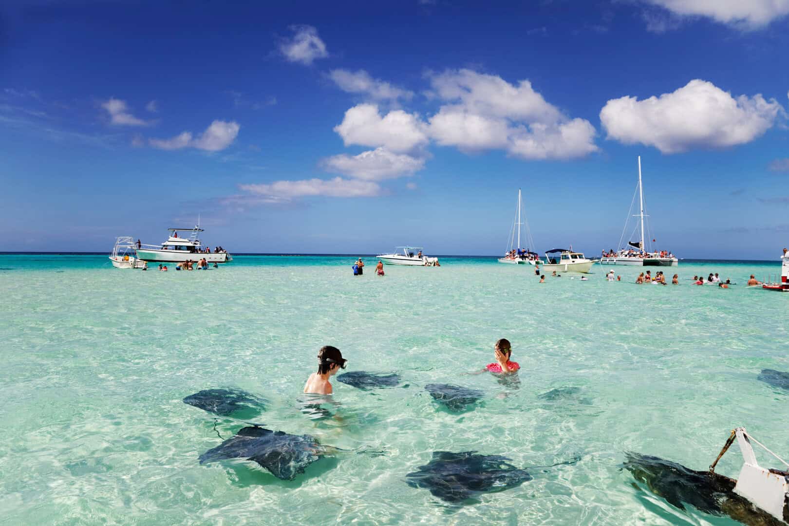 stingray city grand cayman