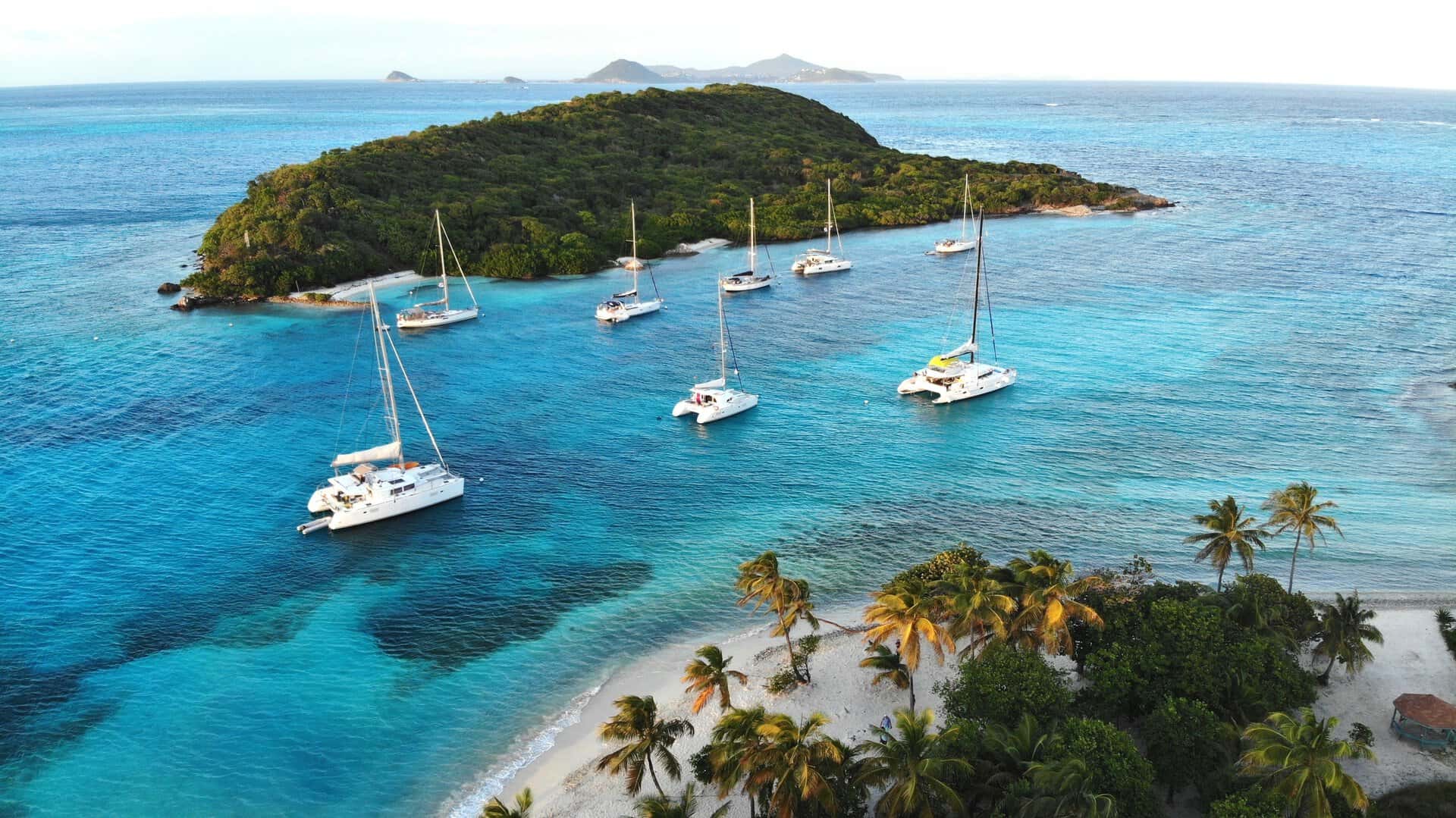 Tobago Cays: un paradiso per i velisti del Mar Caraibico