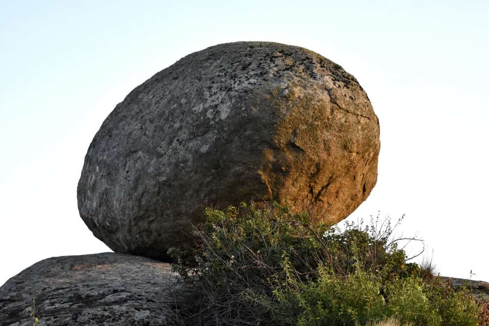 Trovato il secondo uovo più grande al mondo: ha 66 milioni di anni