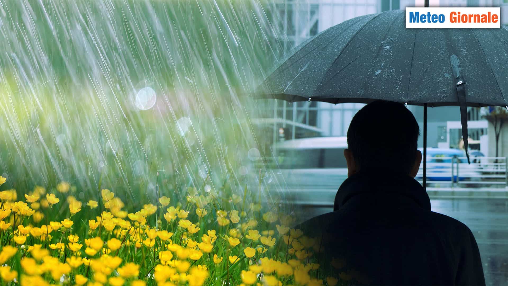 E' PRIMAVERA, punto. Piaccia o non piaccia questa è la situazione METEO