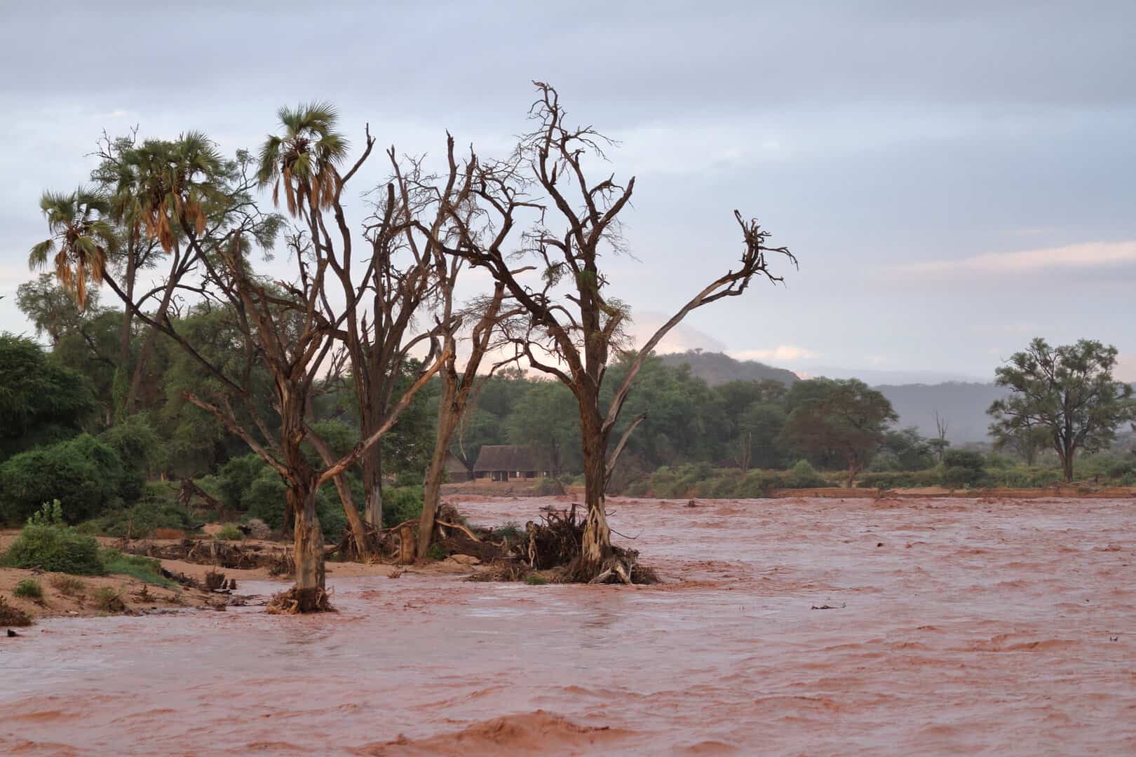 Almeno 45 morti in Kenya a causa di inondazioni e frane