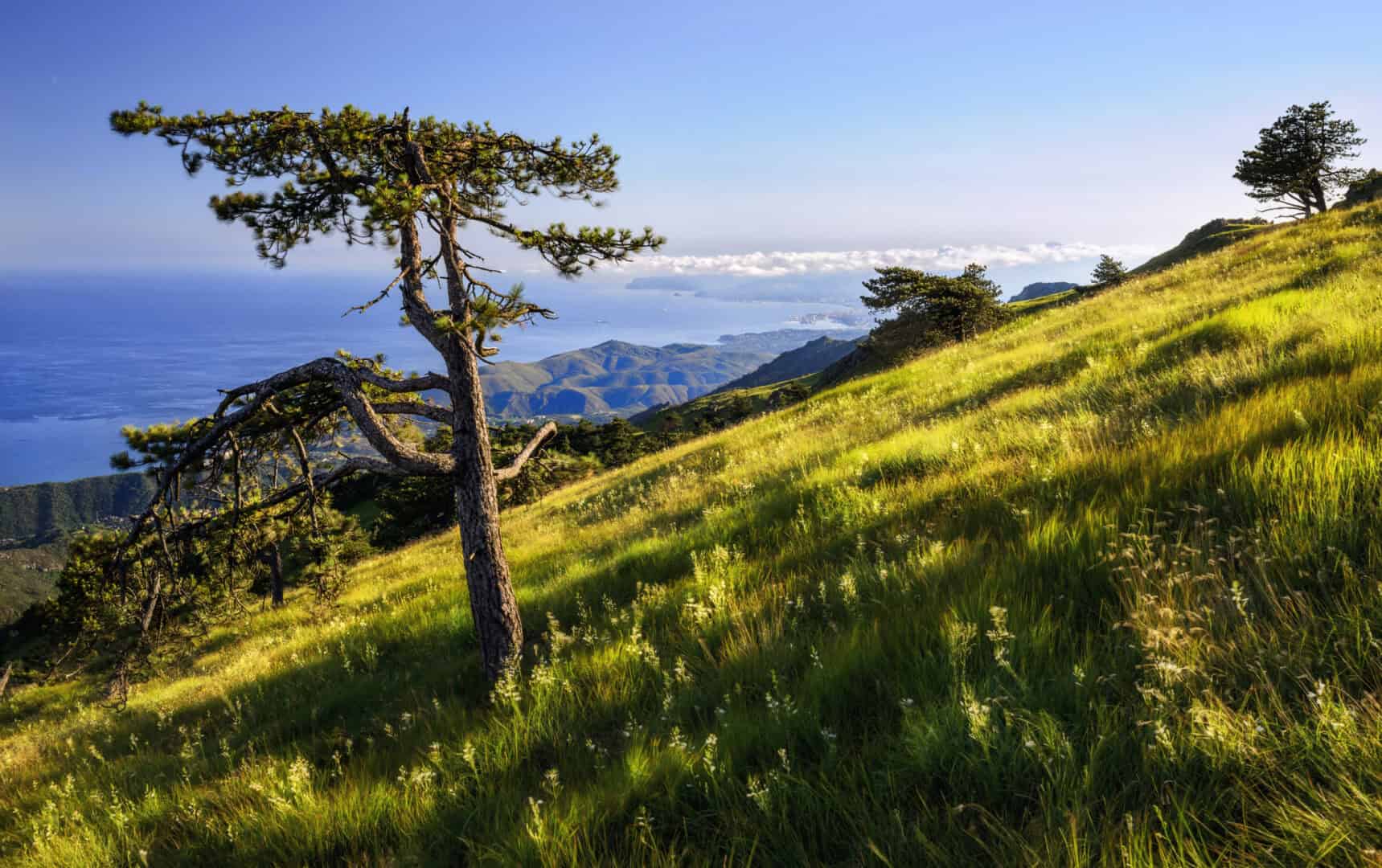 Una diversa vacanza in Liguria: esplorando il percorso incantato di Monte Beigua