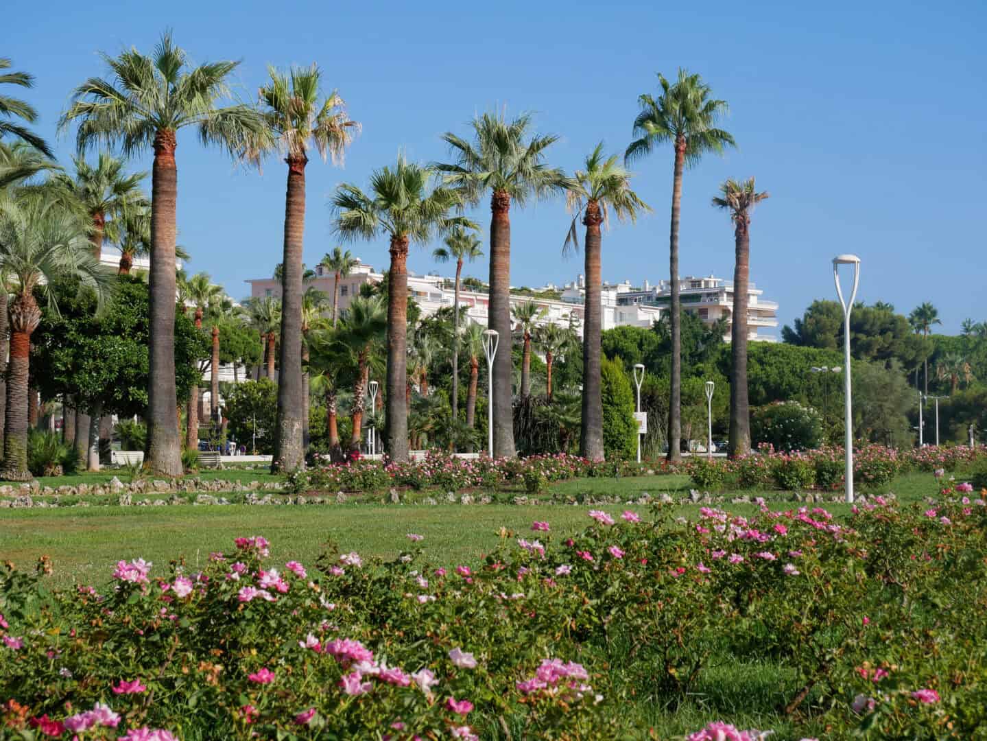 Cannes per turisti curiosi: le attrazioni imperdibili nella città della "Croisette"