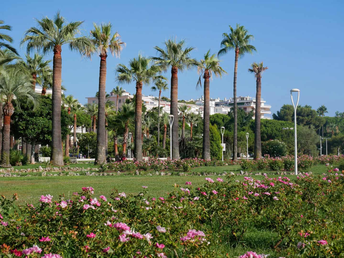 Cannes per turisti curiosi: le attrazioni imperdibili nella città della “Croisette”