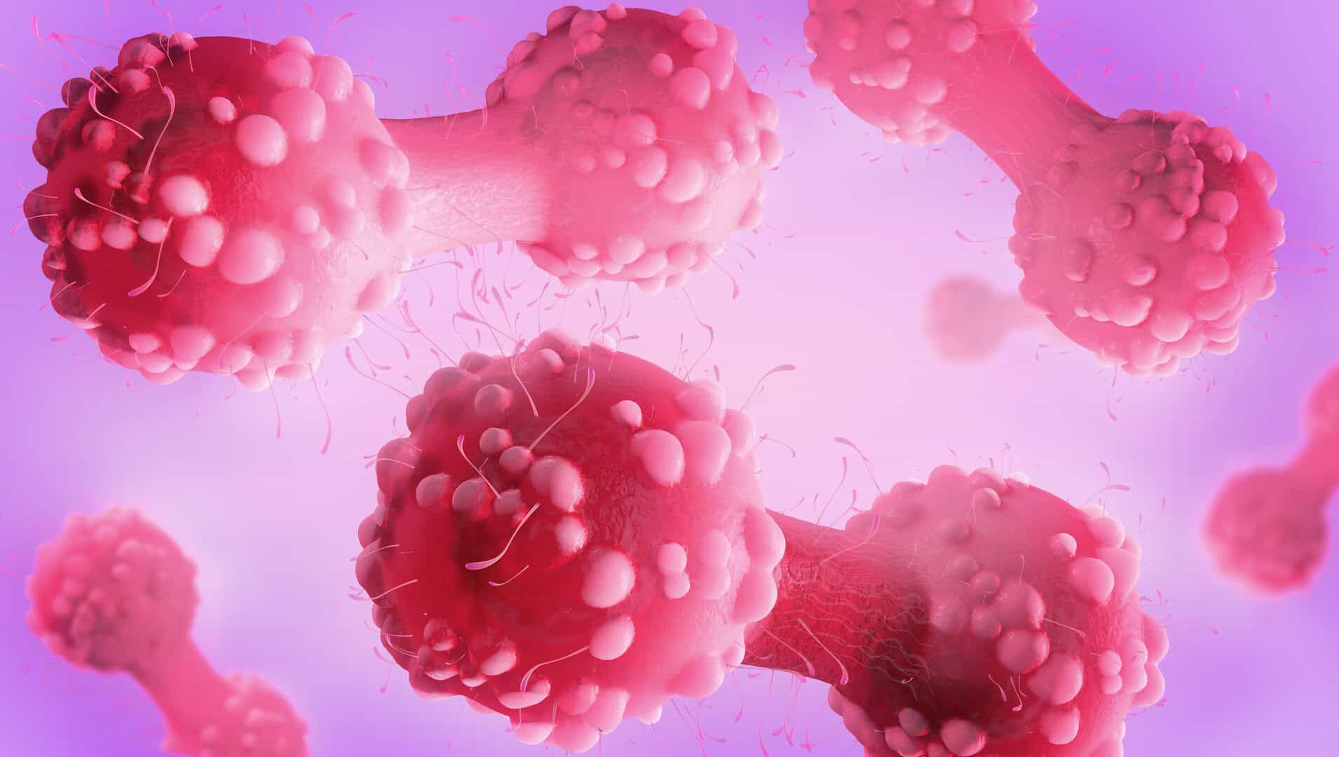 Decifrare il codice del cancro: lo studio degli scienziati della Johns Hopkins sulle cellule ribelli 1 Decifrare il codice del cancro: lo studio degli scienziati della Johns Hopkins sulle cellule ribelli