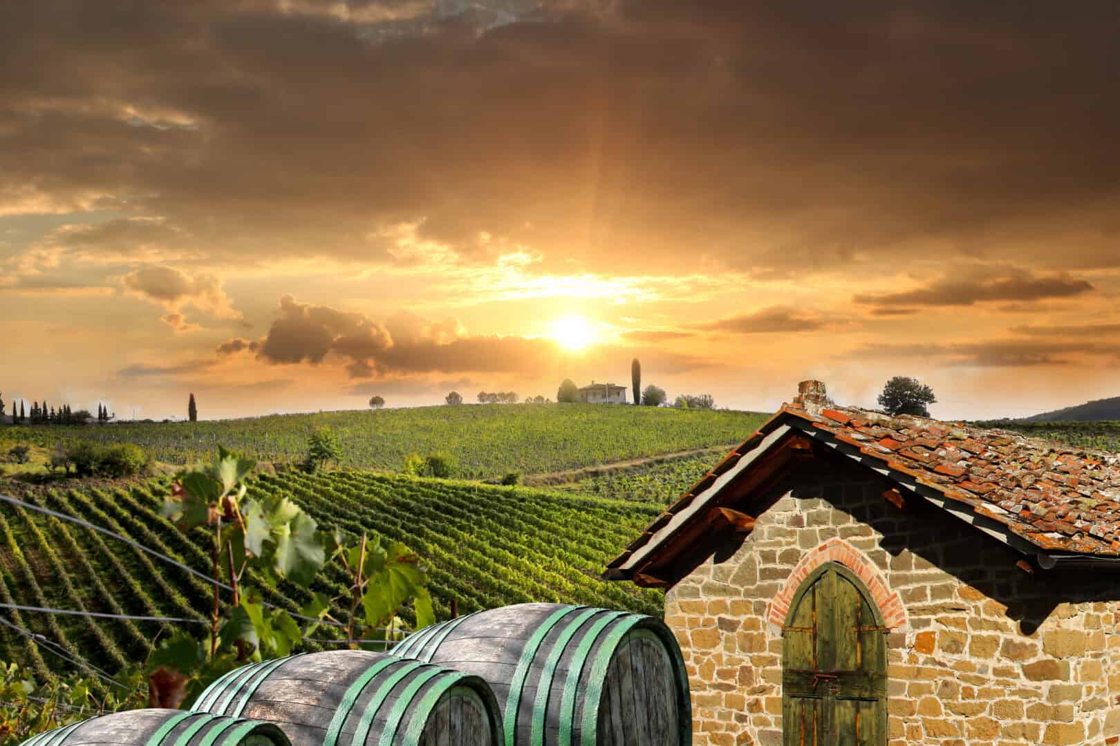 Siena e Chianti: due giorni tra incantevoli paesaggi e vigneti