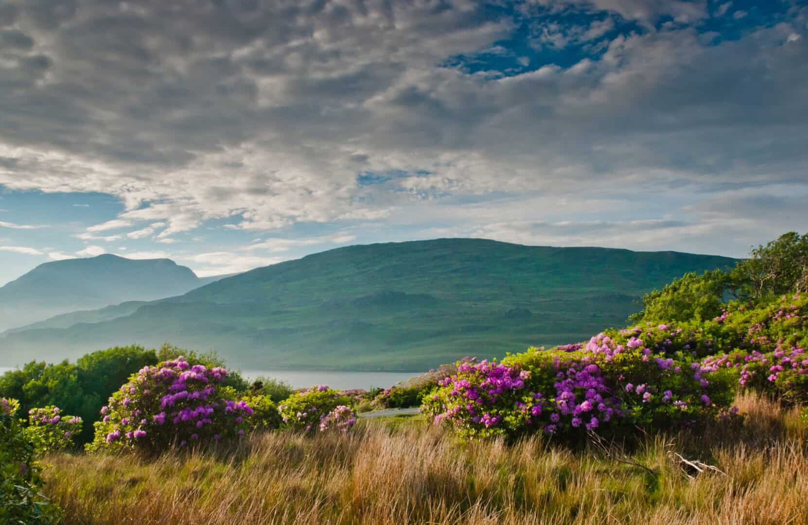 Viaggio nel Connemara: esplorando i paesaggi incantati e misteriosi dell'Irlanda