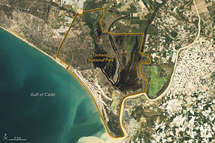 donananationalpark oli2 20240409