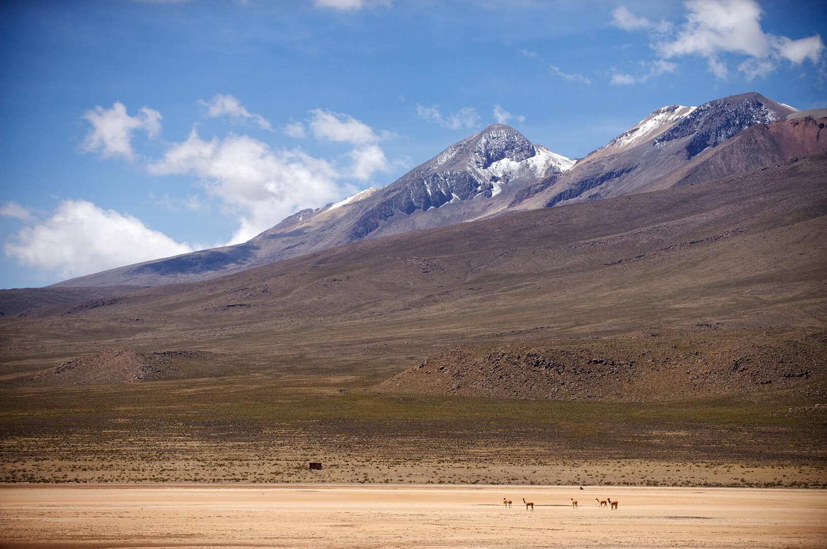 Le evidenze del cambiamento climatico: scompare l'ultimo ghiacciaio del Venezuela 40 Le evidenze del cambiamento climatico: scompare l’ultimo ghiacciaio del Venezuela