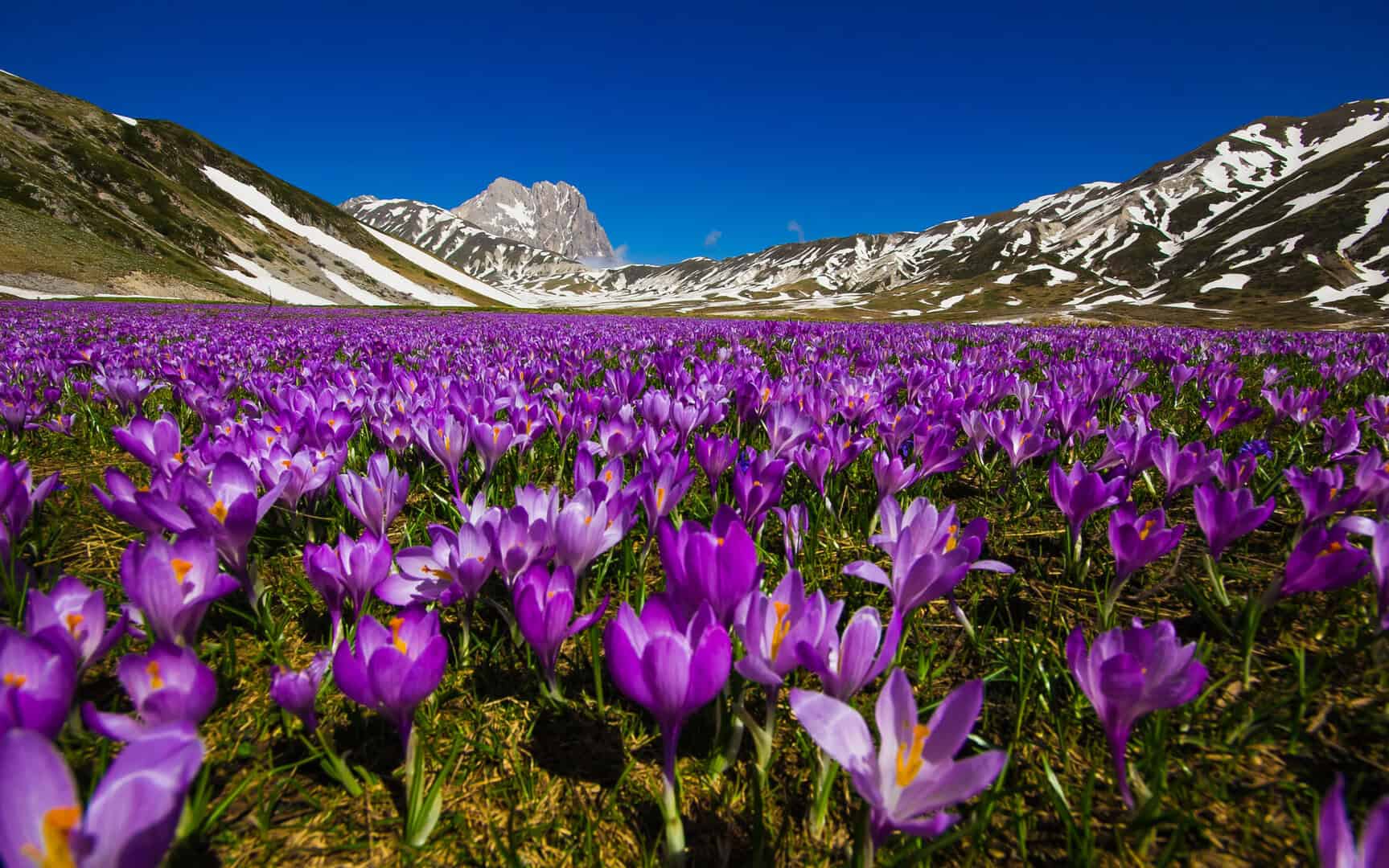 Turismo in Abruzzo: percorrendo i sentieri nascosti del Gran Sasso