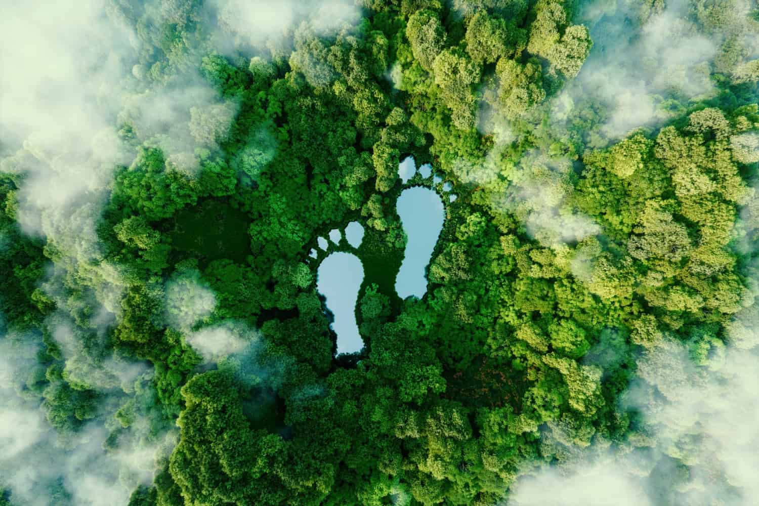 L’impronta di carbonio: cos’è e come ridurla