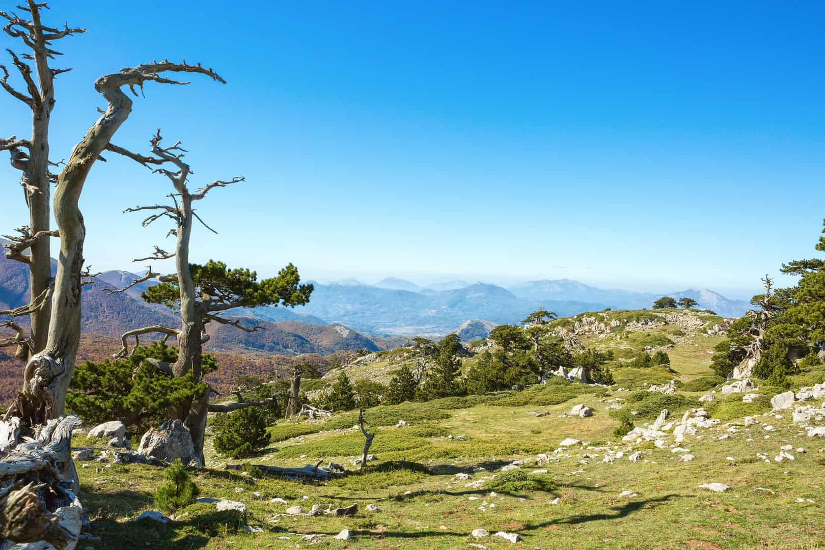 Vacanza nel cuore del Pollino: alla scoperta di misteri e panorami nascosti