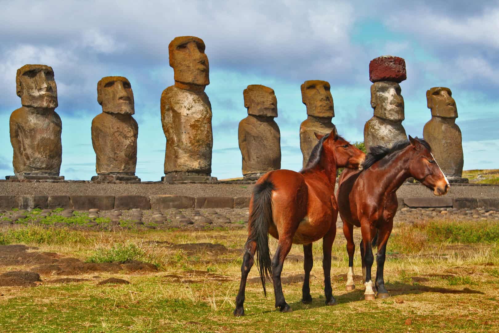 rapa nui moai cavalli