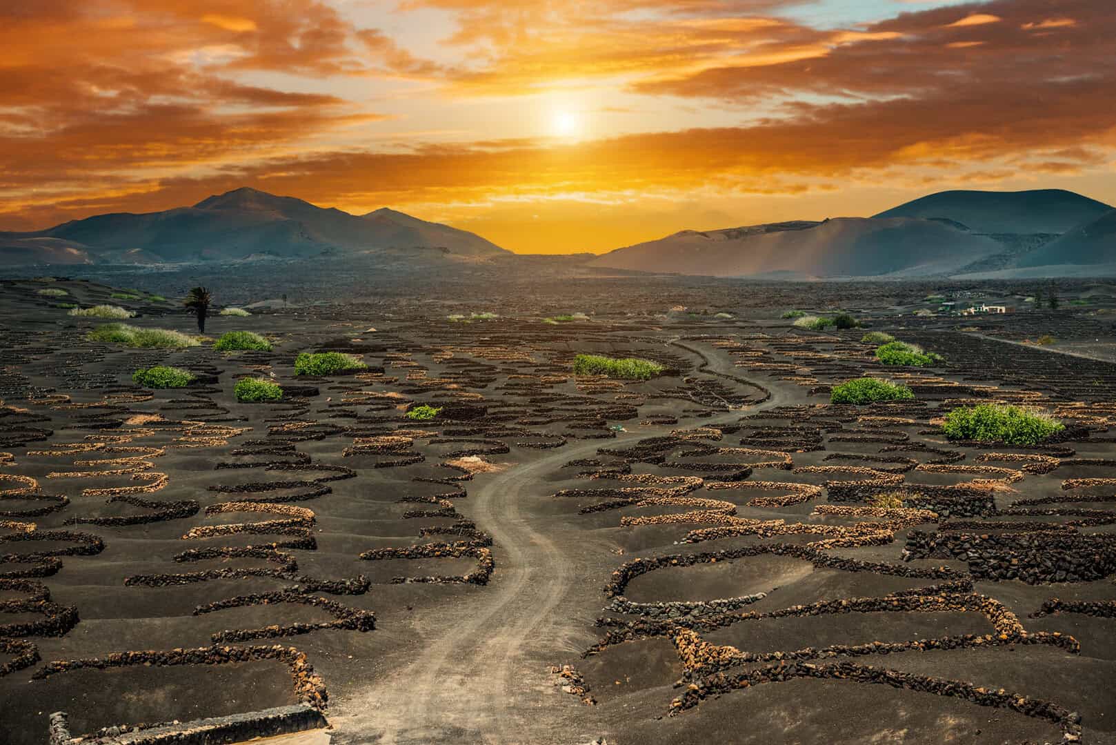 Misteri, viaggio alle Canarie. Invidiabile Lanzarote