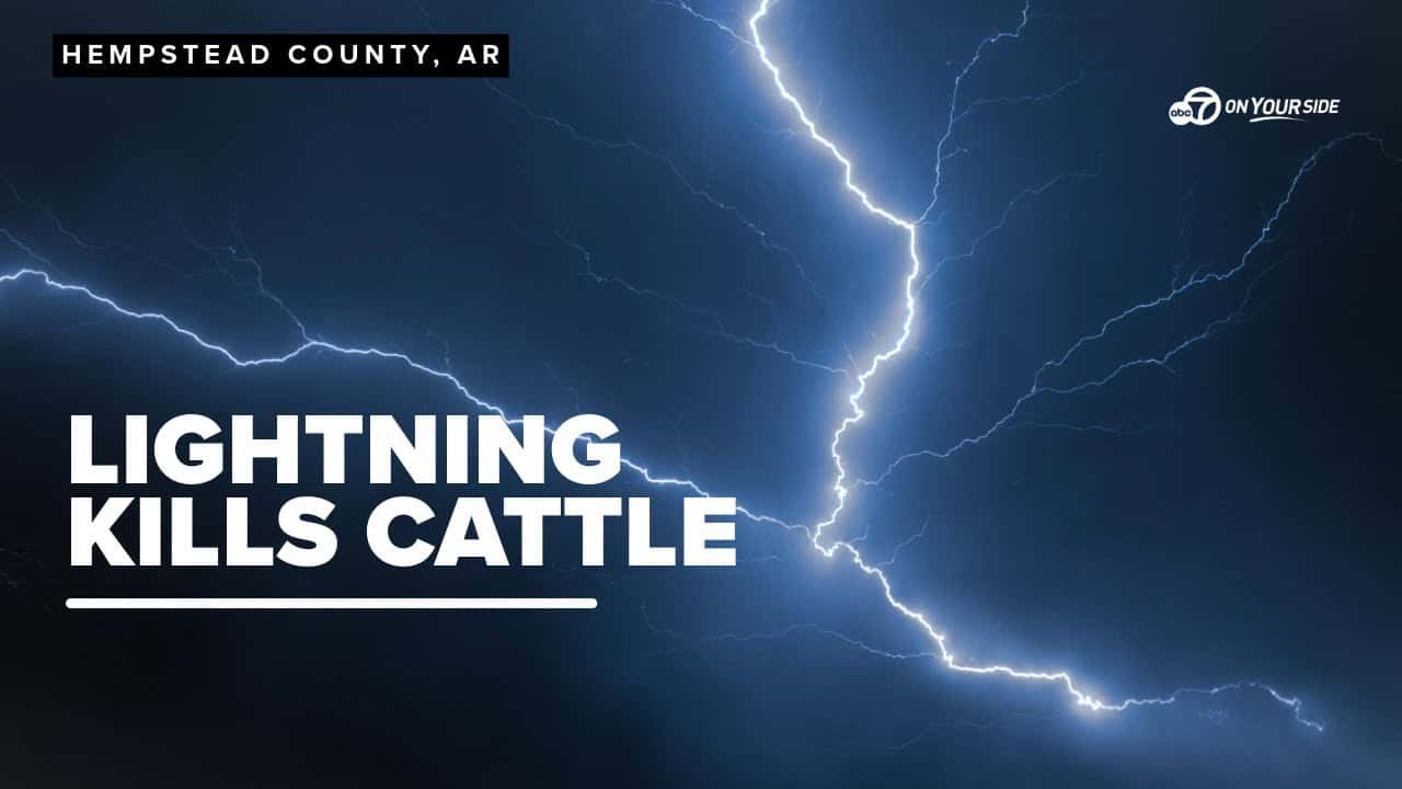 Un fulmine uccide 20 mucche. Tempesta di fulmini in Arkansas. Video meteo