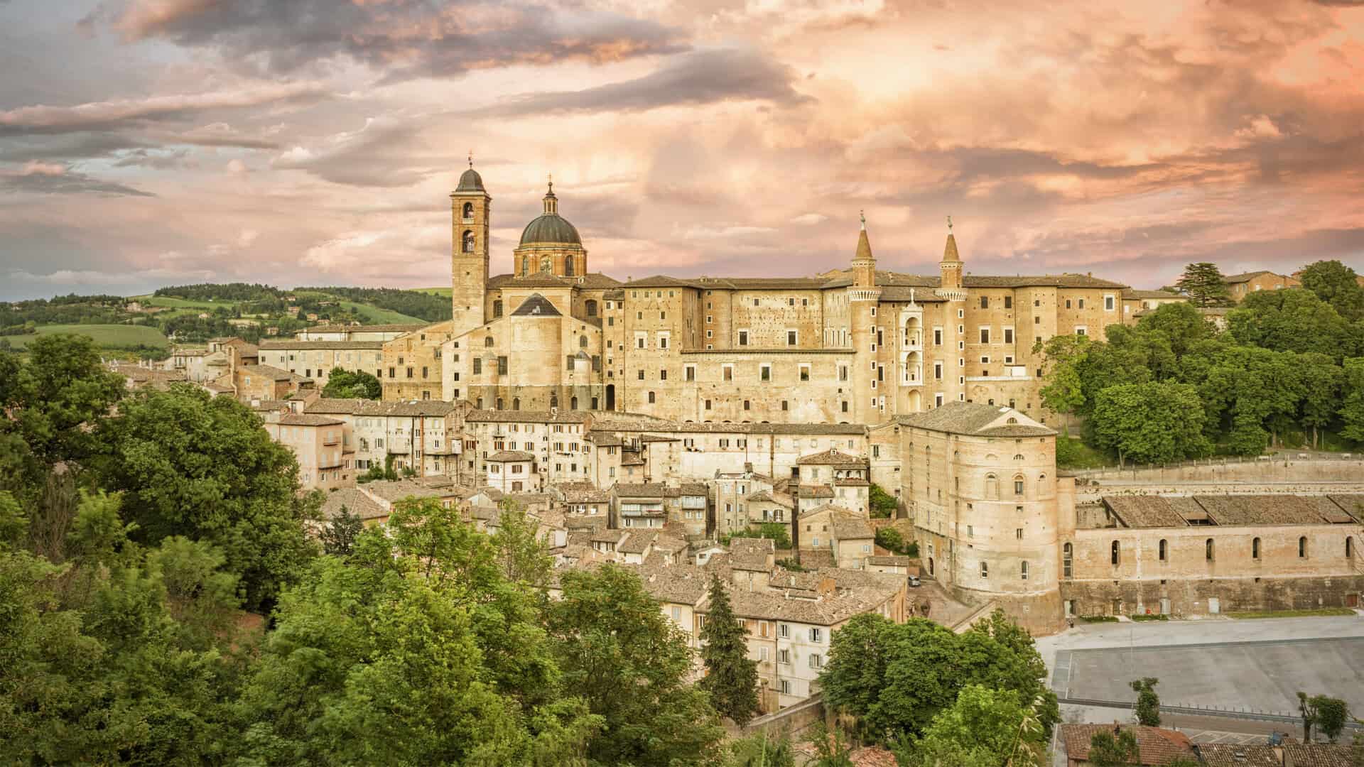 urbino rinascimento