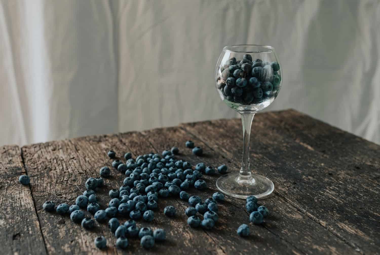 Il vino di mirtilli potrebbe diventare il nuovo alimento miracoloso 37 Il vino di mirtilli potrebbe diventare il nuovo alimento miracoloso