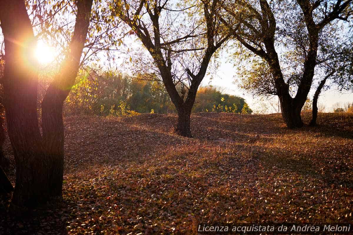 meteo-l’aquila:-domani-quasi-sereno,-successivamente-poco-nuvoloso,-ventoso-a-tratti