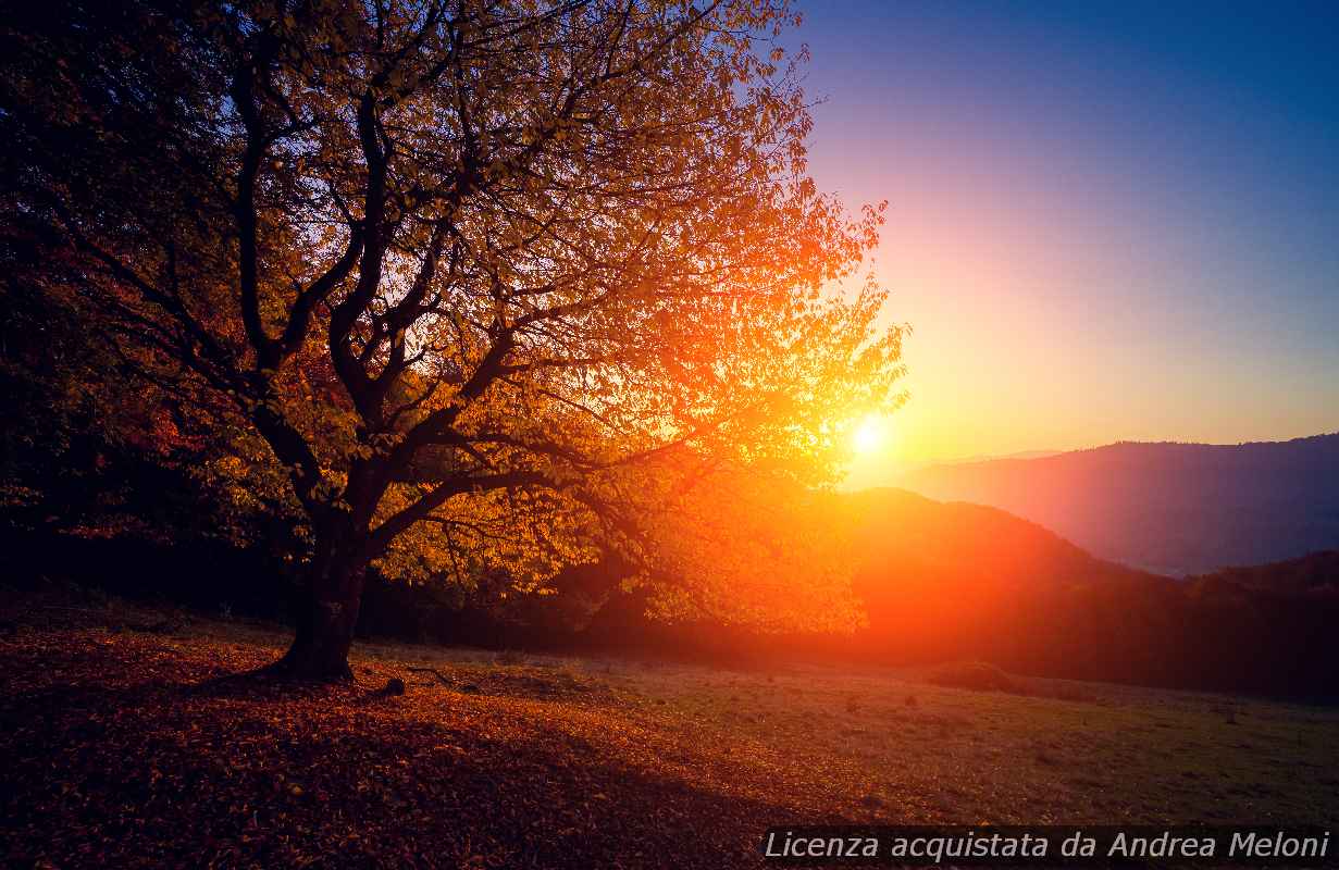 Meteo L’Aquila: domani nuvoloso con rovesci seguiti da nuvolosità persistente