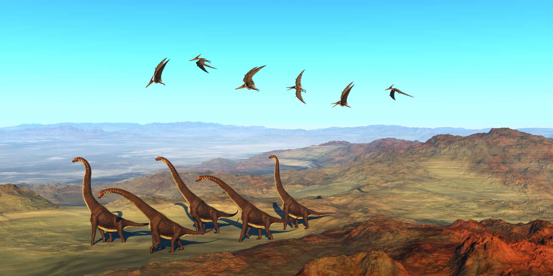 Ricostruito un pezzo di puzzle preistorico: scoperta nuova specie di dinosauro in Zimbabwe 22 Ricostruito un pezzo di puzzle preistorico: scoperta nuova specie di dinosauro in Zimbabwe