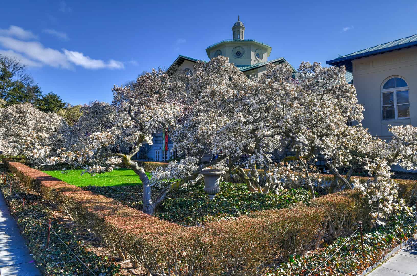 Viaggio a New York. Alla scoperta del Brooklyn Botanic Garden