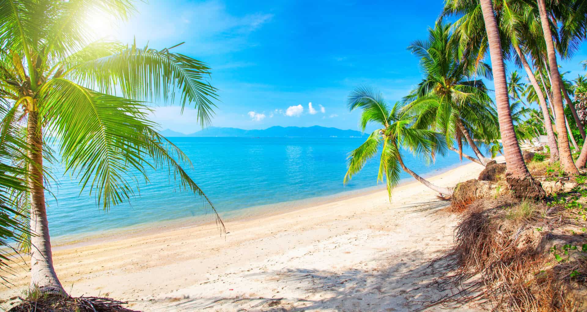 Viaggio a Koh Samui: Equilibrio perfetto tra relax e avventura in Thailandia