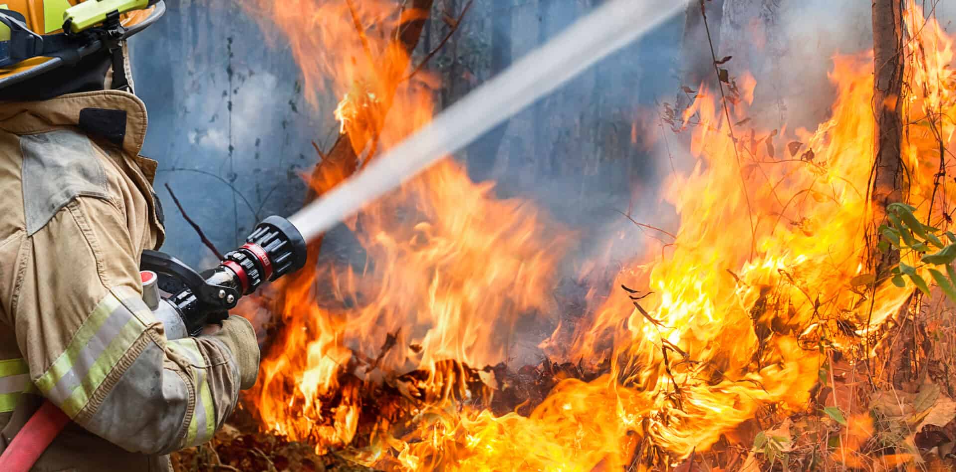 Gli incendi devastano di nuovo la Siberia: è la terza volta in cinque anni