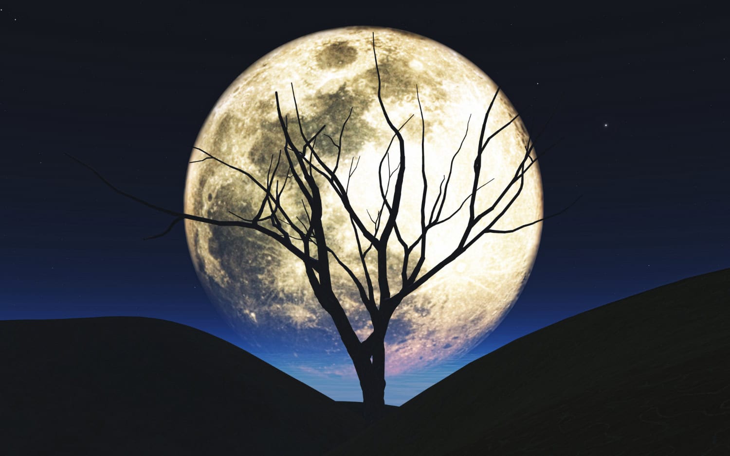 Gli effetti della Luna sulla Terra: come influenza maree, clima e vita
