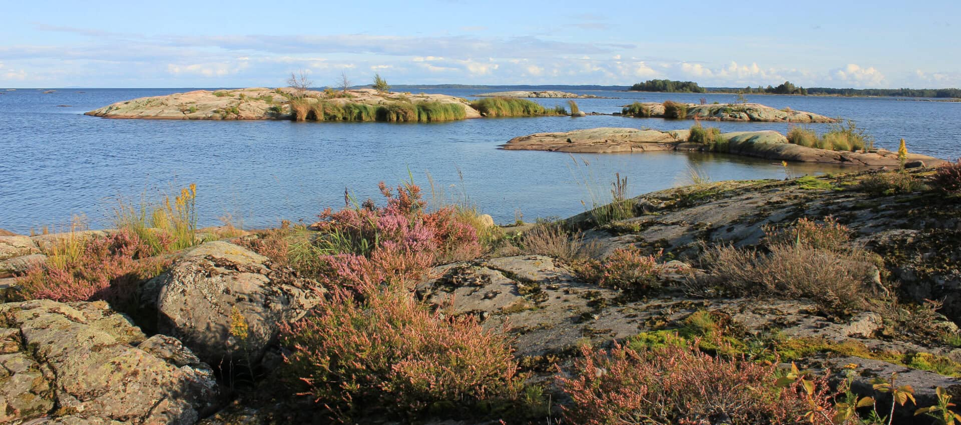 Turismo all’aria aperta in Svezia: campeggiare sulle isole di Vänern, un’esperienza unica