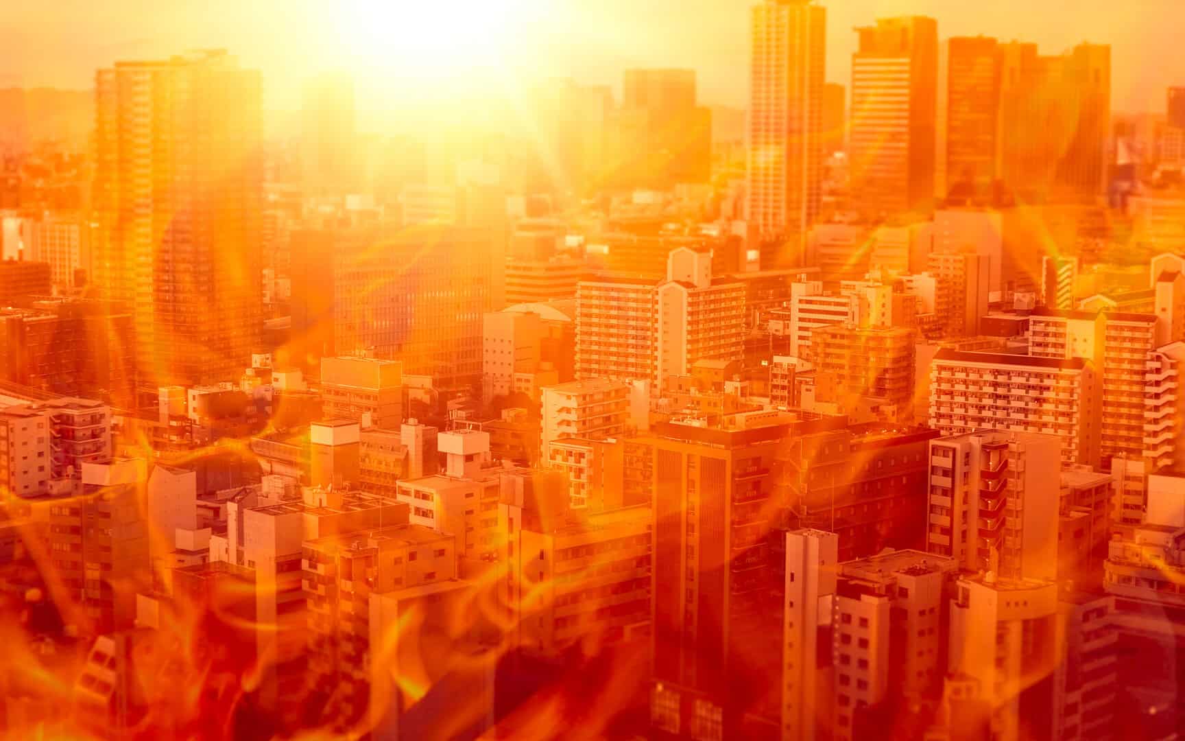Ondate di calore: perché sono sempre più frequenti e letali? 13 Ondate di calore: perché sono sempre più frequenti e letali?