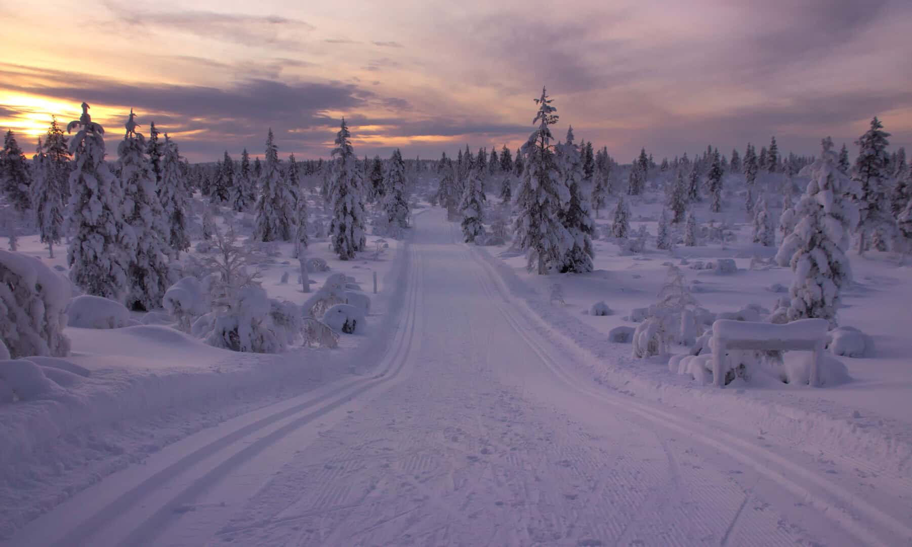 Un viaggio nel paesaggio della tundra e della taiga finlandese: esplorando il parco Urho Kekkonen