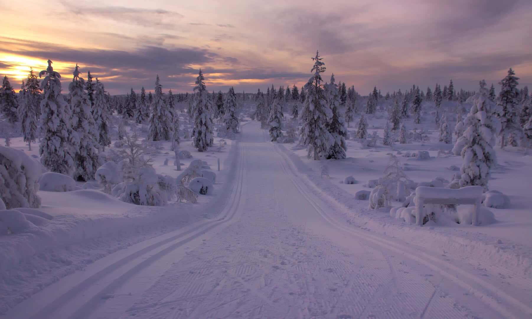 Un viaggio nel paesaggio della tundra e della taiga finlandese: esplorando il parco Urho Kekkonen