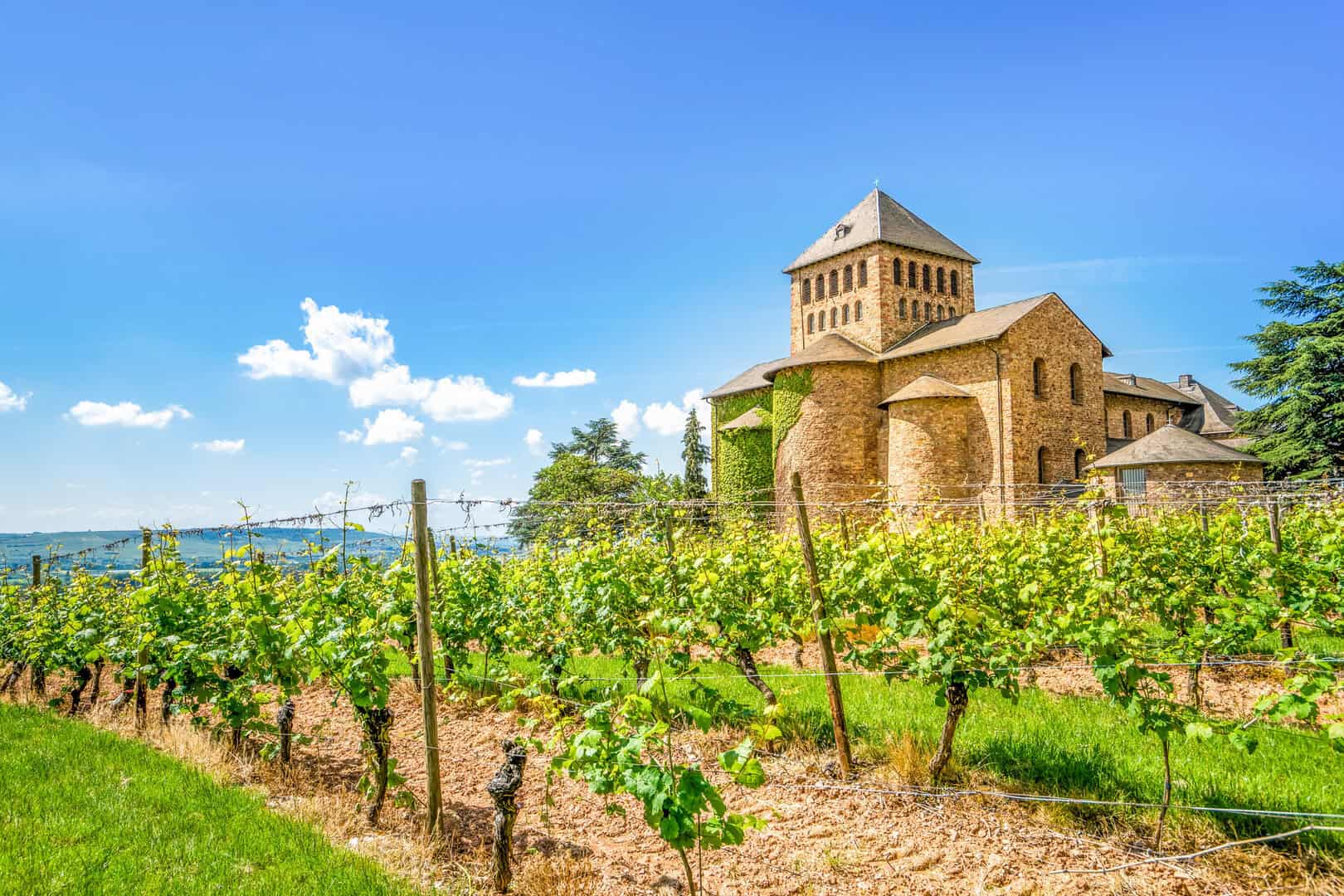Scoprire il Rheingau: tra vigneti, borghi, castelli e abbazie lungo il Reno