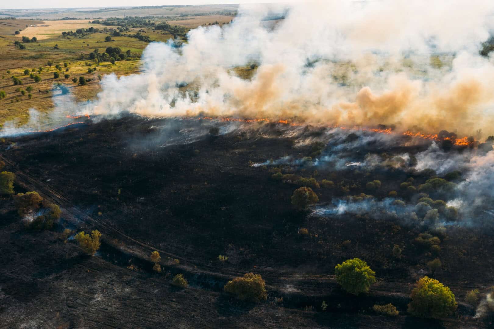 Russia: enormi incendi nella regione artica liberano megatonnellate di carbonio