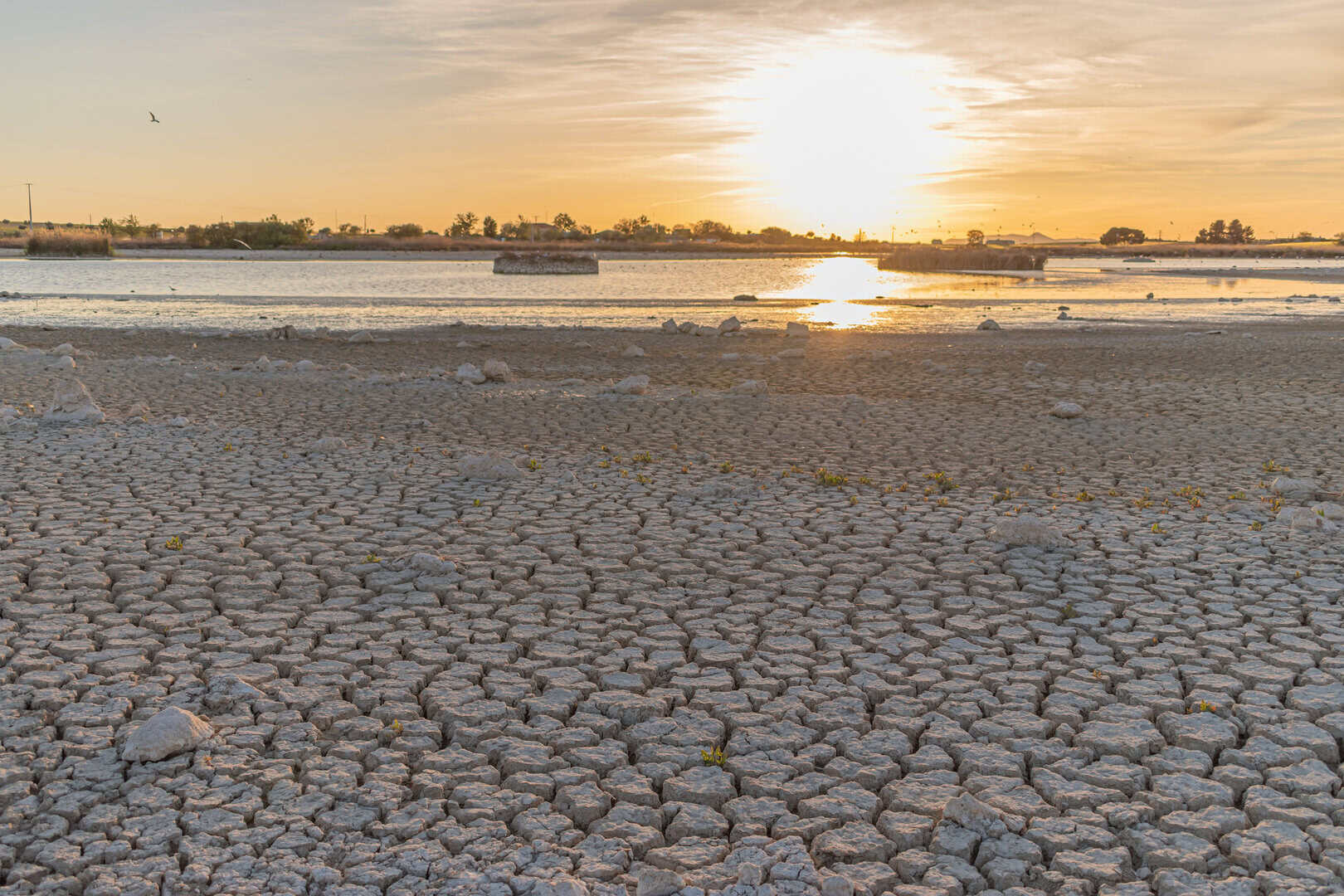 Per i cittadini spagnoli il cambiamento climatico è in atto e sono pronti ad agire 39 Per i cittadini spagnoli il cambiamento climatico è in atto e sono pronti ad agire