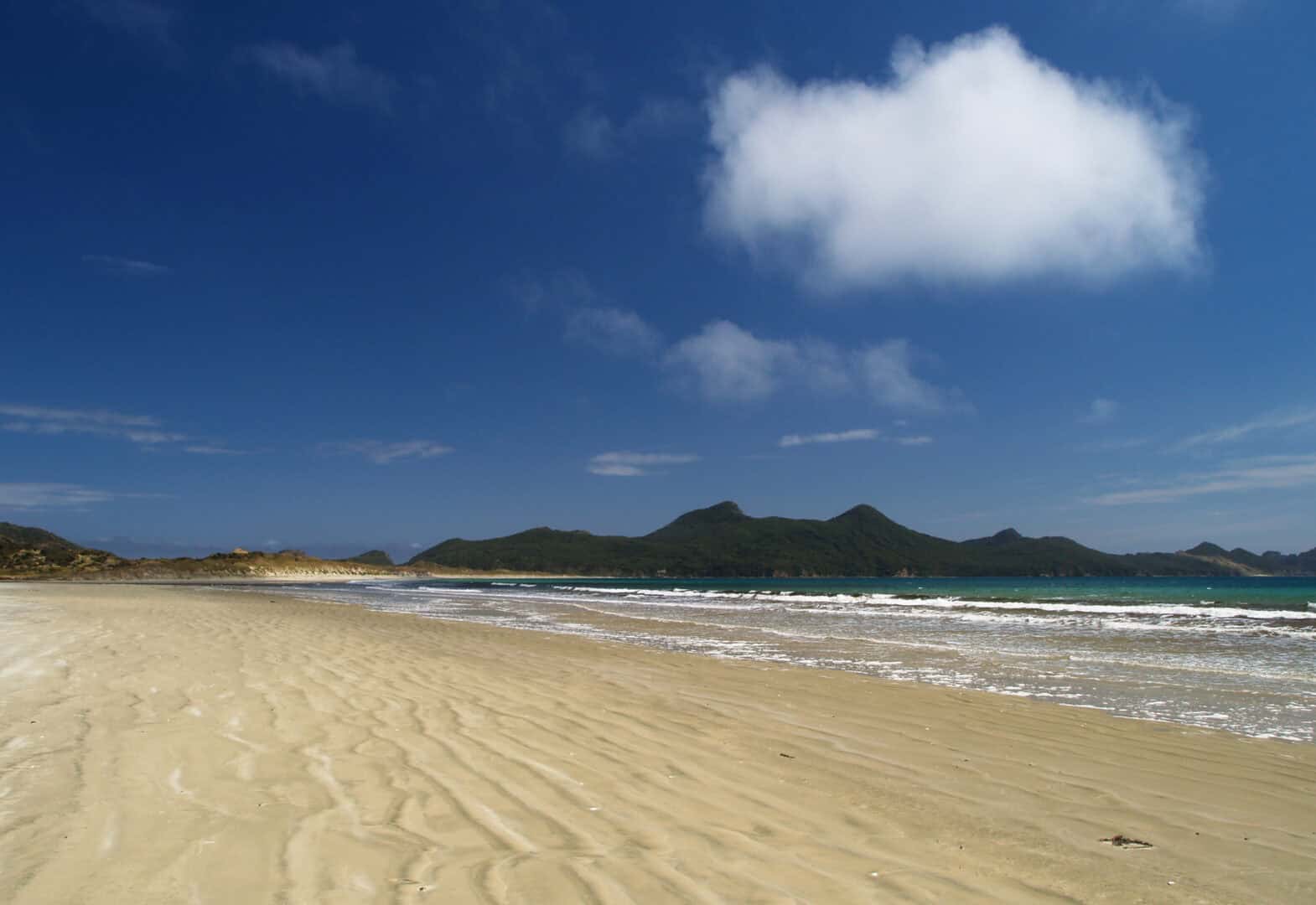 Stewart Island: viaggio nel profondo sud della Nuova Zelanda per scoprire un santuario di biodiversità e fauna selvatica