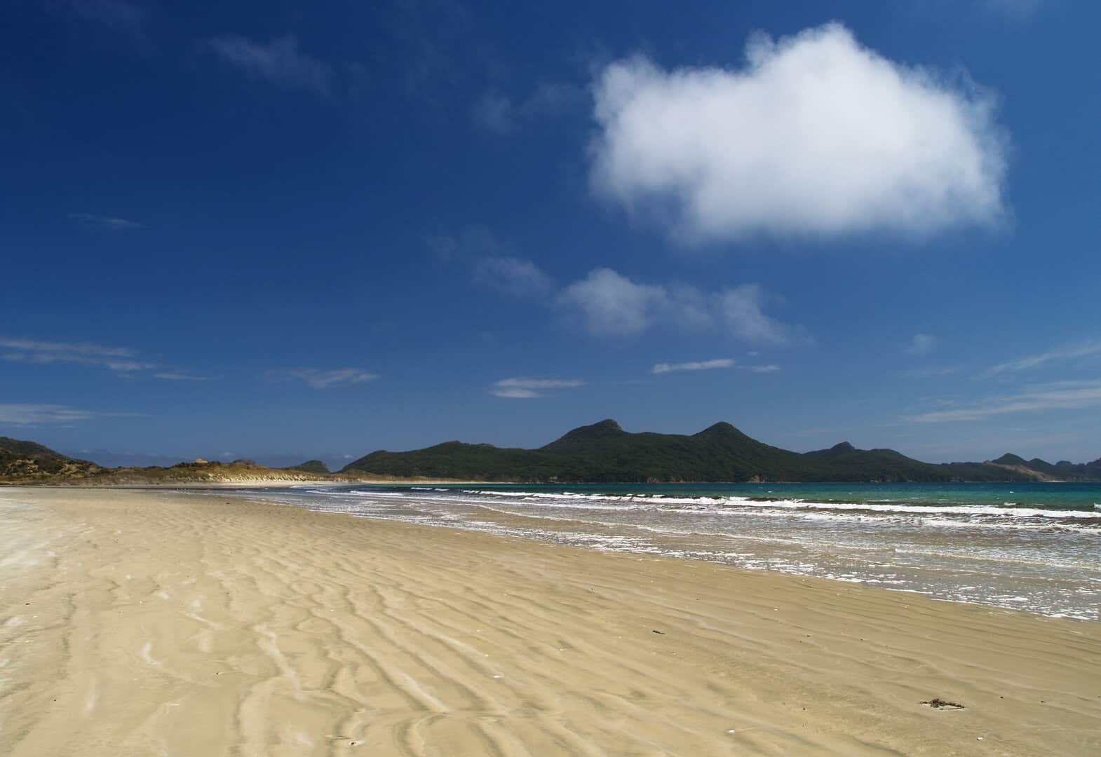 Stewart Island: viaggio nel profondo sud della Nuova Zelanda per scoprire un santuario di biodiversità e fauna selvatica