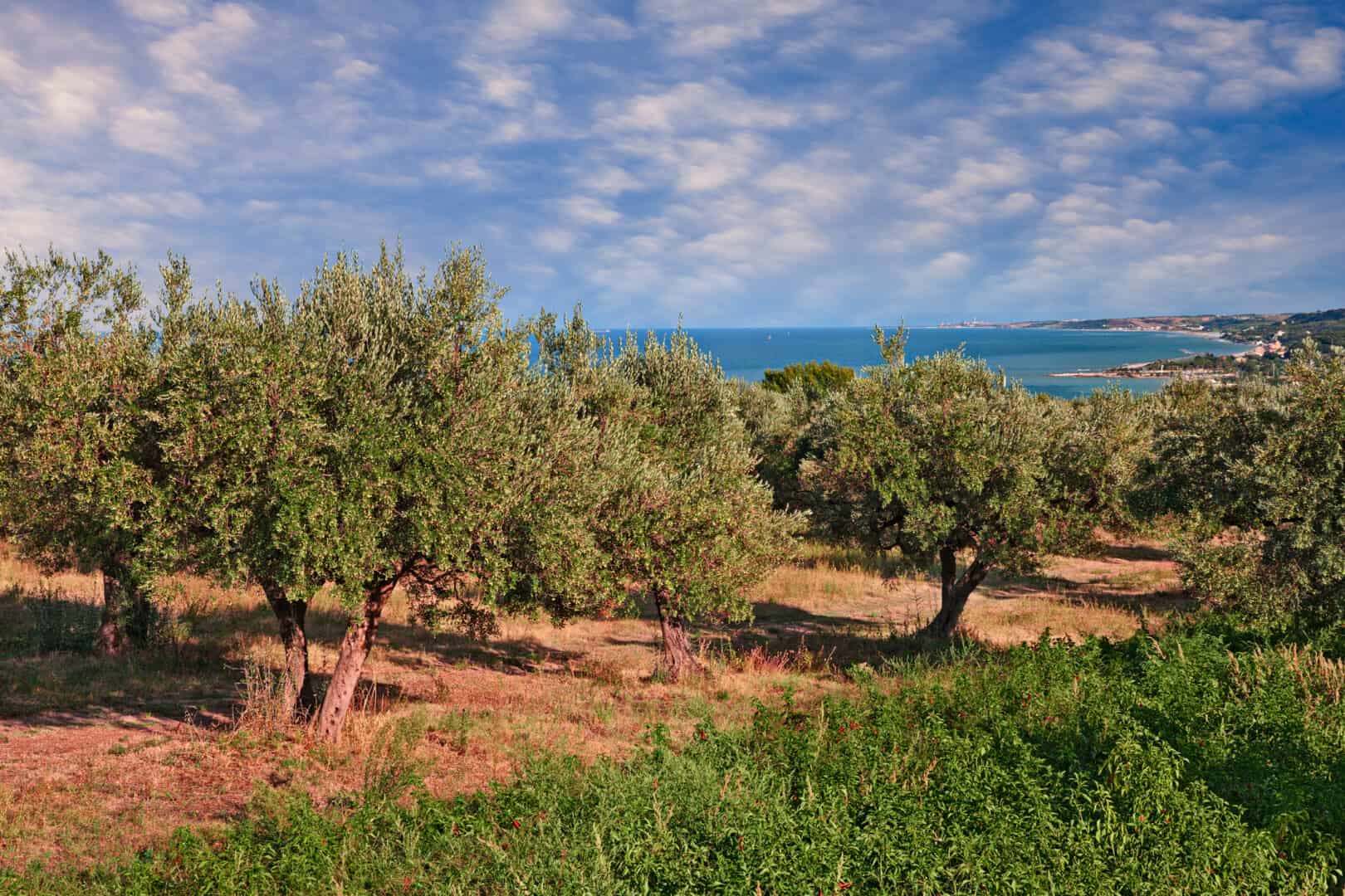 Vacanze in Abruzzo: tra cultura e natura, scopri Chieti e i suoi dintorni