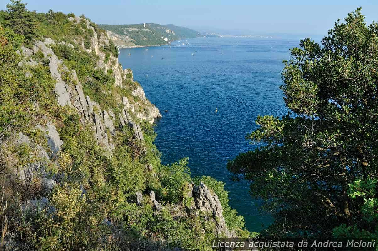Meteo Trieste: Domani Nuvoloso con Rovesci, Seguono Nubi Sparse
