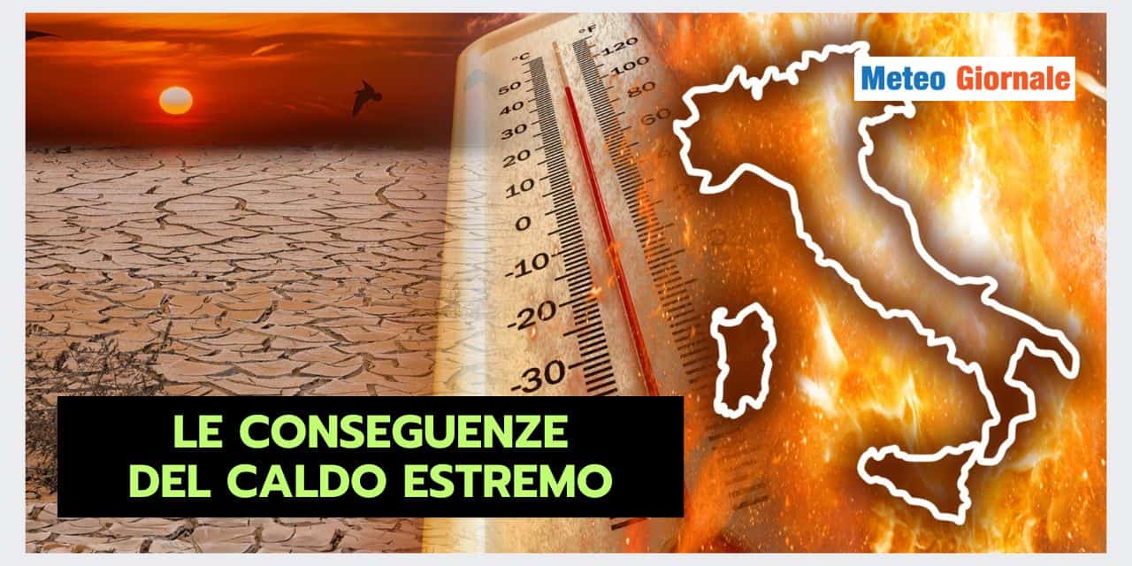 Meteo: il CALDO ESTREMO ha un prezzo ALTISSIMO da pagare