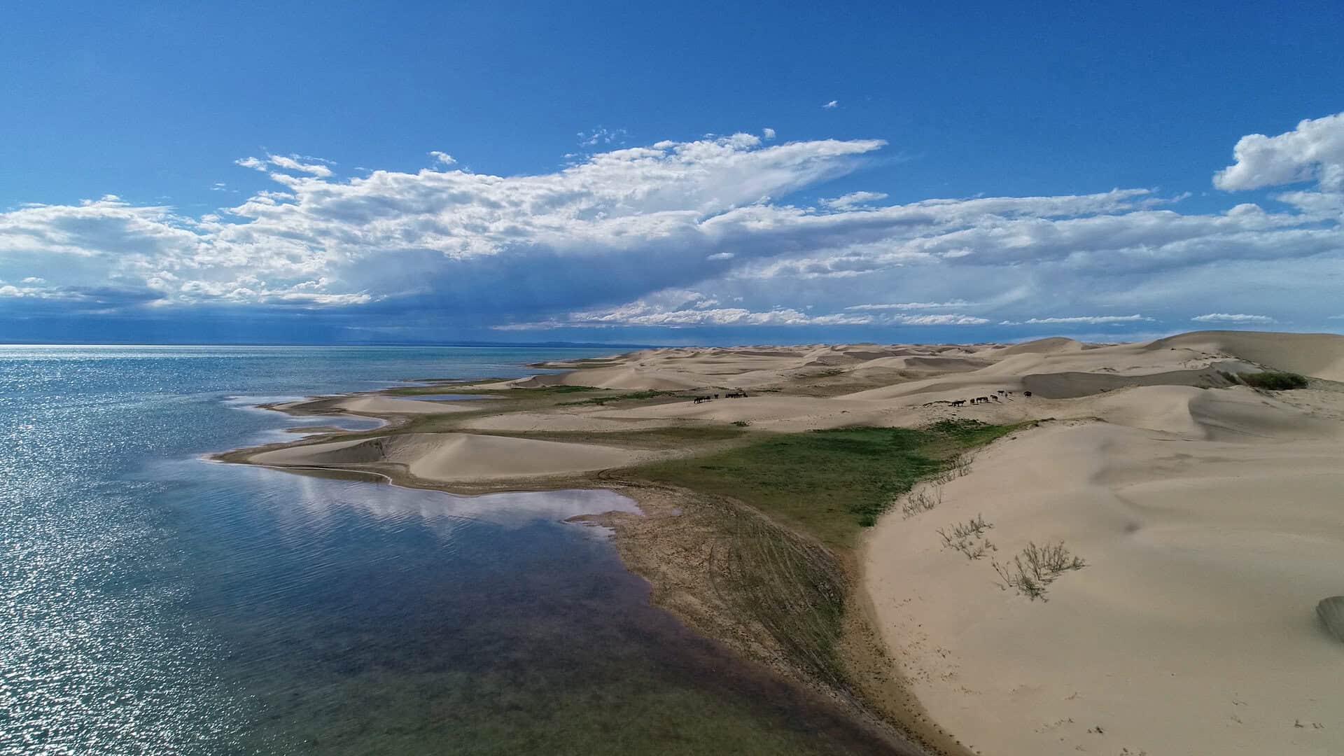 antico oceano mongola formato finito