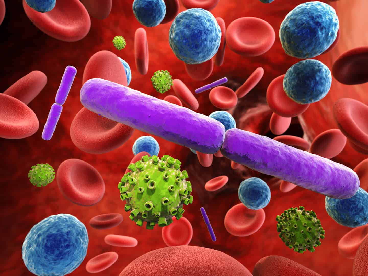 Nuove strategie contro i batteri: ecco come sfruttare i loro nemici naturali