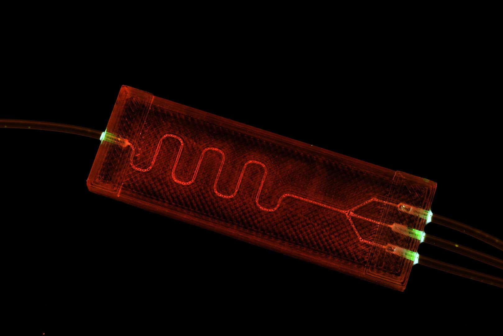 Come un biochip rivoluzionario potrebbe salvarci dalla prossima pandemia